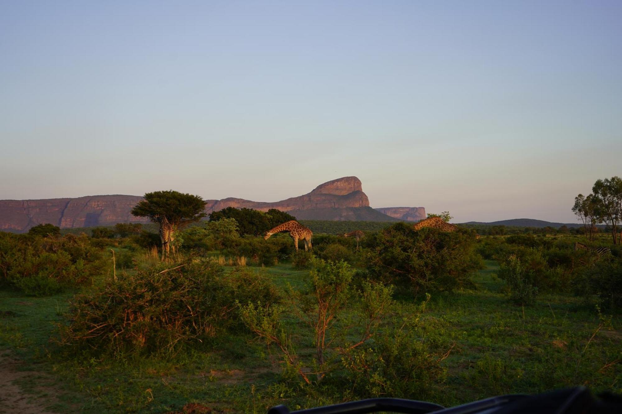Honeyguide Ranger Camp Ξενοδοχείο Golders Green Εξωτερικό φωτογραφία