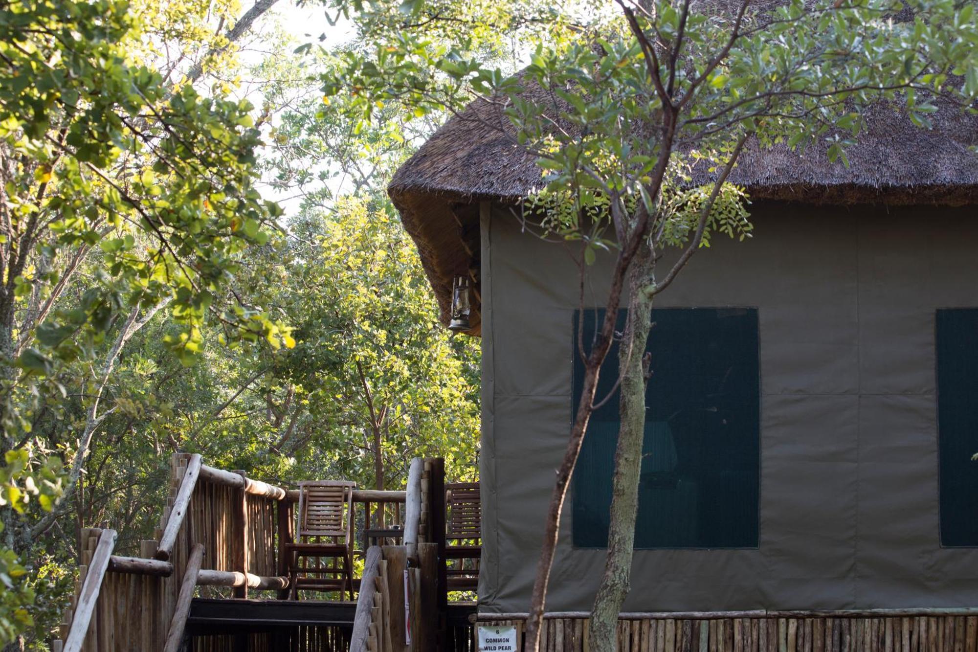 Honeyguide Ranger Camp Ξενοδοχείο Golders Green Δωμάτιο φωτογραφία